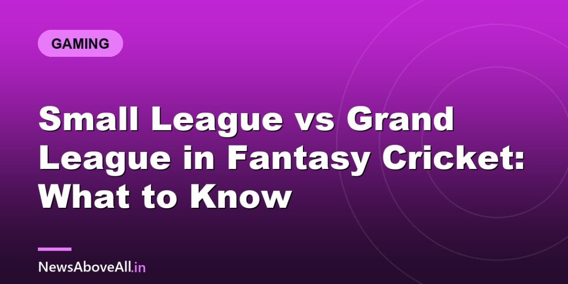 Small League vs Grand League in Fantasy Cricket: What to Know