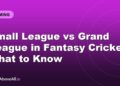 Small League vs Grand League in Fantasy Cricket: What to Know