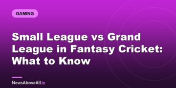 Small League vs Grand League in Fantasy Cricket: What to Know