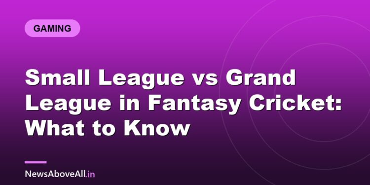 Small League vs Grand League in Fantasy Cricket: What to Know