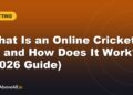 What Is an Online Cricket ID and How Does It Work? (2026 Guide)