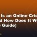 What Is an Online Cricket ID and How Does It Work? (2026 Guide)