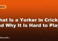 What Is a Yorker in Cricket and Why It Is Hard to Play