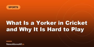 What Is a Yorker in Cricket and Why It Is Hard to Play