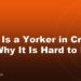 What Is a Yorker in Cricket and Why It Is Hard to Play